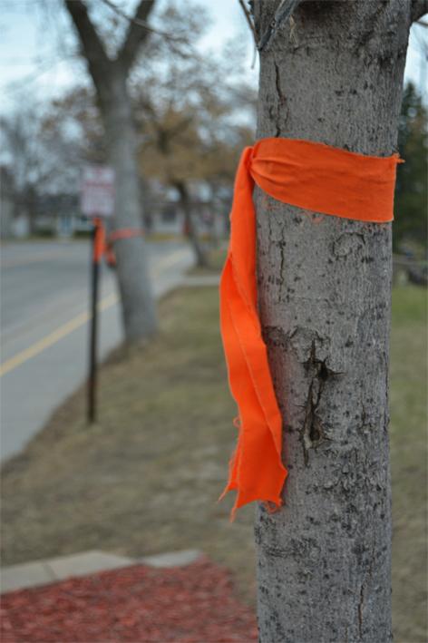 The community honors Evan and Damian McManus with orange ribbons around the school.