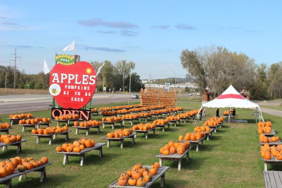 Wagner Bros Orchard in Jordan MN, offers hundreds of pumpkins to choose from, and many baked goods on the inside.