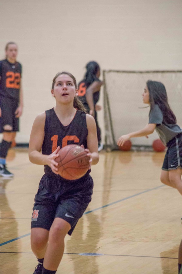 Junior Hannah Ellingson aims to make a basket at practice Nov. 24.
