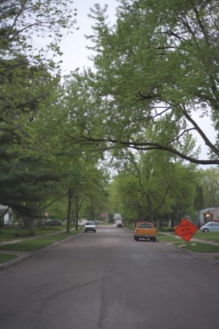 33rd Street, one of the streets subject to construction under Connect the Park, will be narrowed to 30 feet.