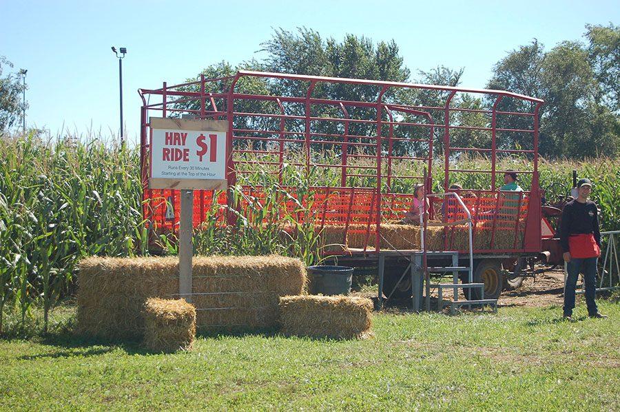Hay rides are offered to families for $1 on weekdays. On weekends, visitors can enjoy unlimited hay rides. The rides follow tracks through the corn maze. 