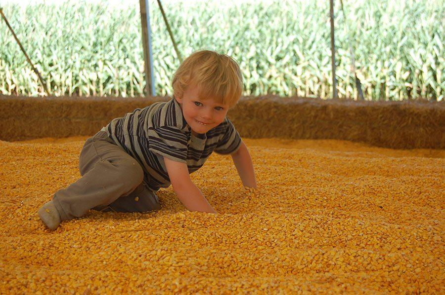 A young boy explores the Corn Pit at Severs Fall Festival. The festival also has an Extreme Corn Pit that includes a jungle gym and other obstacles.