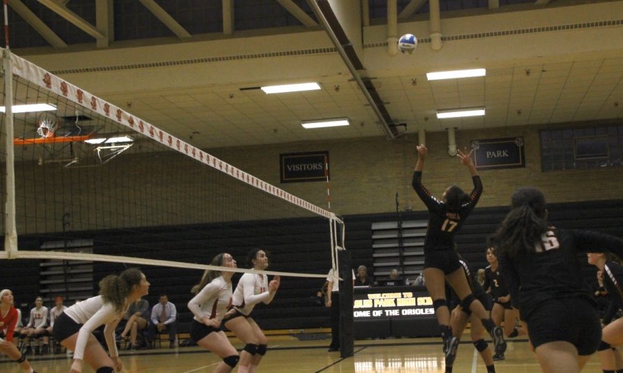 Senior Paige Steward jumps up to spike the ball. The Orioles won the game 3-2.