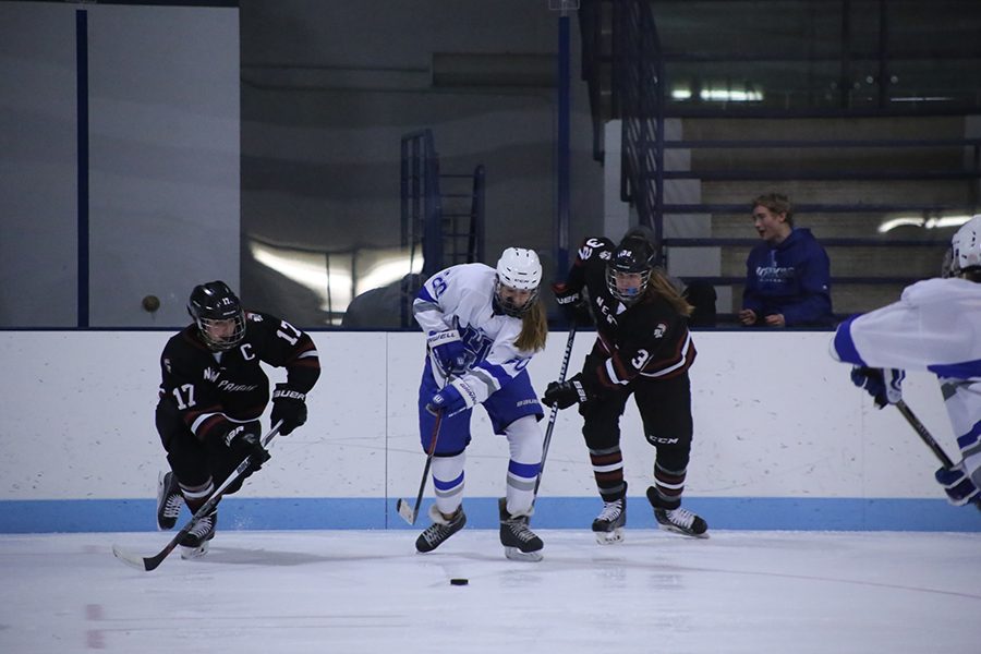 Junior Katie Fredrickson, #20, chases after the puck against New Prague  Nov. 15. The Park/Hopkins team went on to win the game 8-3.
