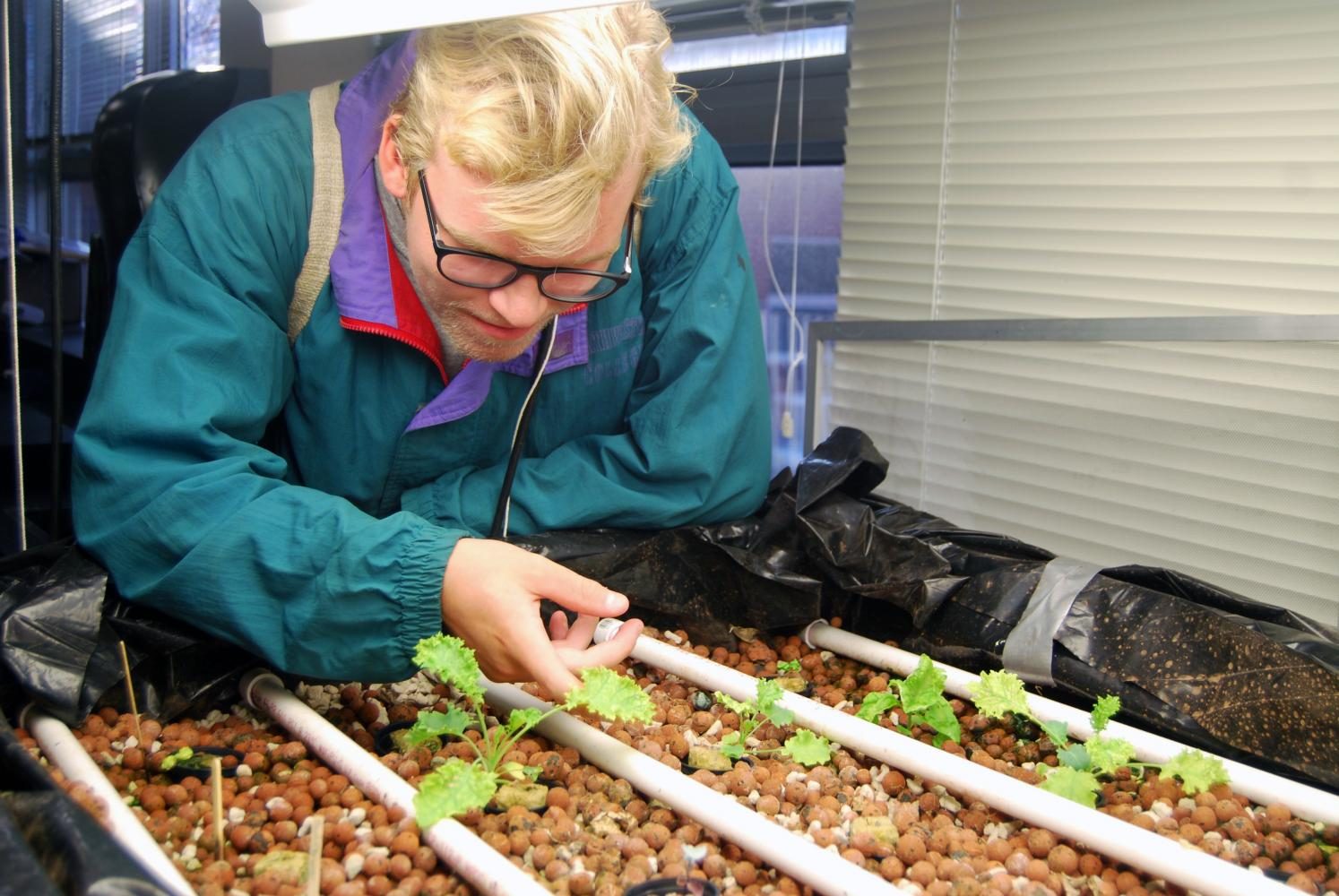 Junior Casey Kreie inspects the aquaponics system during the first Roots and Shoots meeting Sept. 19.