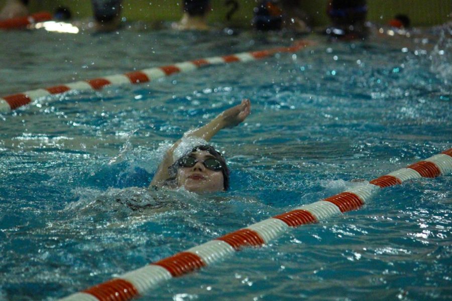 Senior Tommy Guddal practices the backstroke Nov. 28. The boys swimming team is preparing for their first conference relay at Richfeild Middle School Dec. 7.