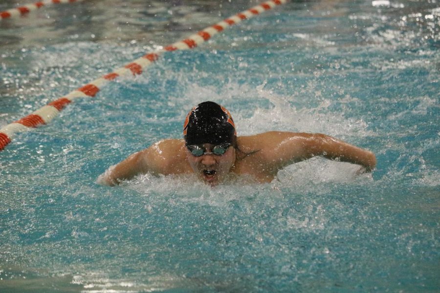 8th grader Hiro Mckee swims the 100 butterfly in Parks meet against Bloomington Jefferson. This was Parks second home meet of the season.