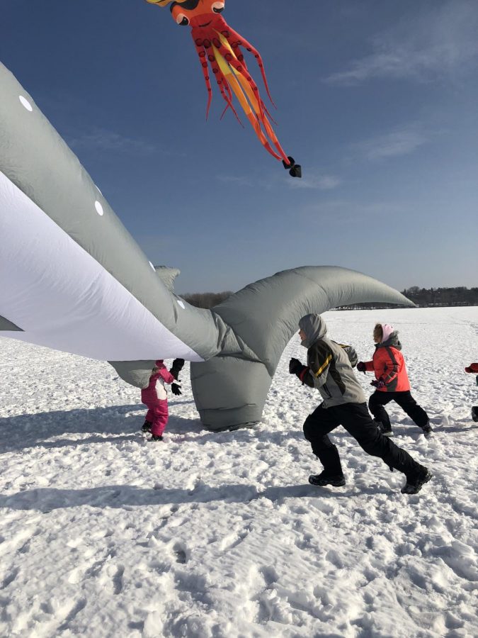 Children chase after an inflatable shark kite on Lake Harriet. Kites such as the multicolored inflatable squid kite pictured, were also on display.