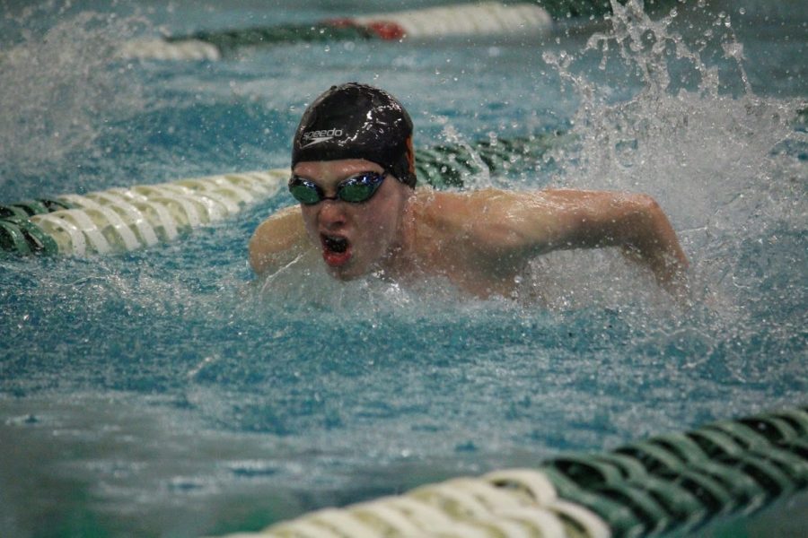 Sophomore Will Mathews swims in the section finals Feb. 24. Five Park swimmers qualified for the state preliminary meet March 2. 