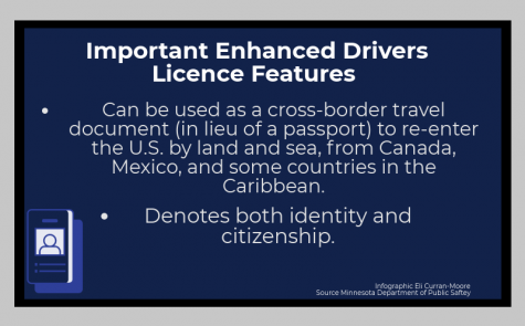 can i use an enhanced drivers license to fly to mexico