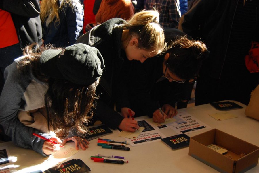 During the walkout, Park students wrote postcards addressed to Minnesota legislators in response to recent gun violence in schools. 