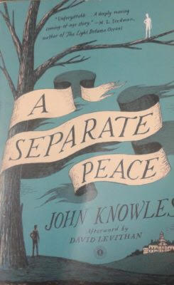 ‘A Separate Peace’ removed from 10th grade English class