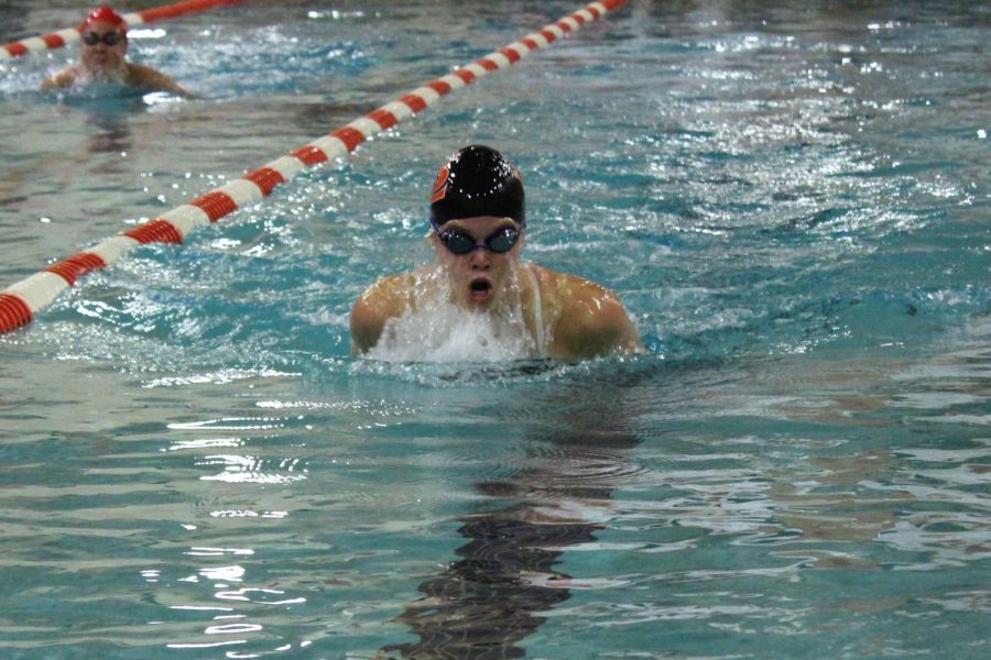 Junior Hattie Kugler swims the 100 breastroke Oct 23. Park lost to Benilde 43-51.