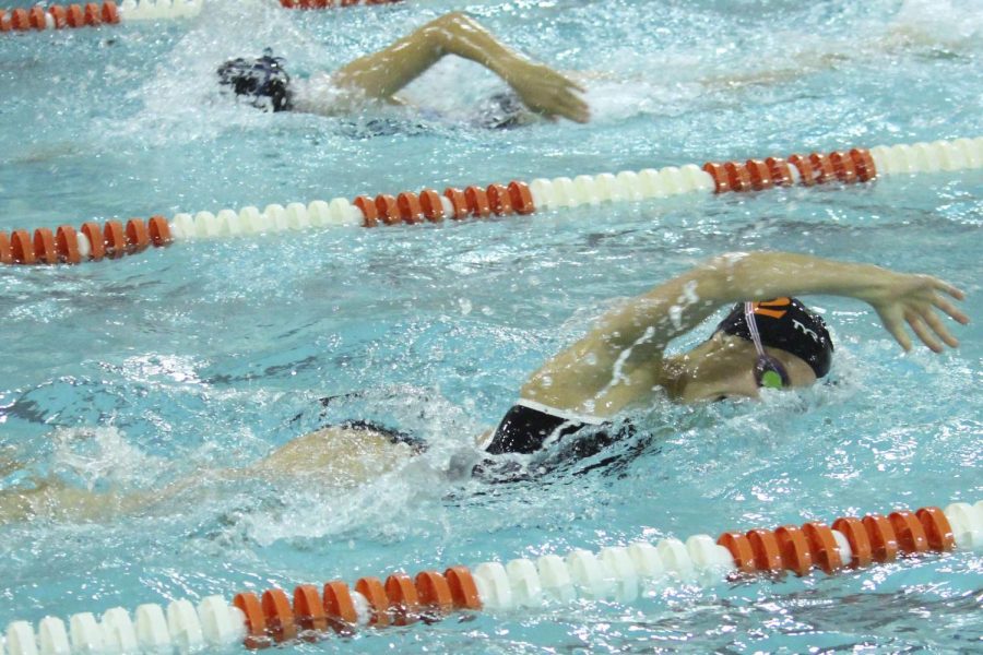 Claudia Stone swims freestyle against Richfield Sep. 27. Park won 93-81.