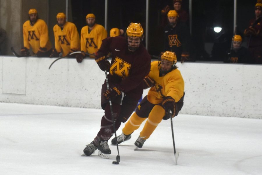 The scrimmage at the ROC allowed young hockey players to watch high level play. 