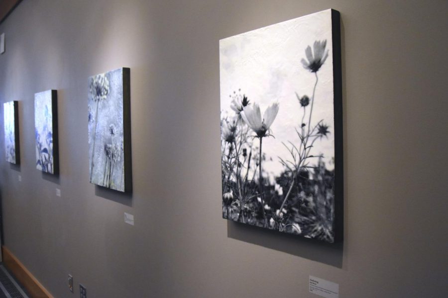 Gathering along with many other art pieces by Jodi Reeb hangs on a wall Feb. 23 in the Minnesota Landscape Arboretum. According to Reeb, the artwork originally was a photograph.