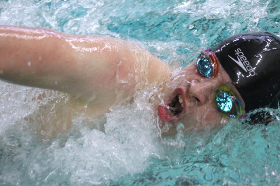 Senior captain Max Bechtold freestyles during the 500 freestyle race. Park placed third overall at the meet.