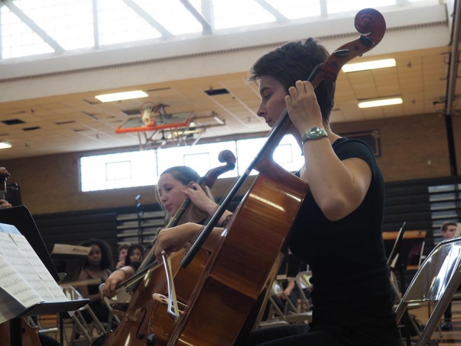 Senior Greta Long plays the cello in a cello quintet at the last Orchestra concert of the year June 3. 