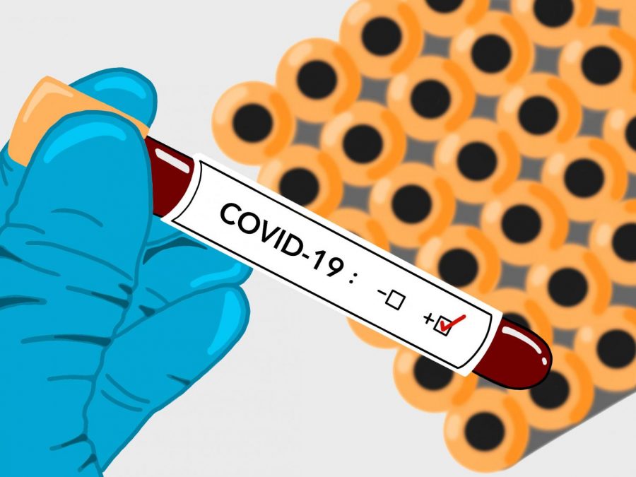 Art by Emmy Pearson. 
Recently there has been an increase in COVID-19 testing in Minnesota, allowing for more cases to be confirmed in the state.