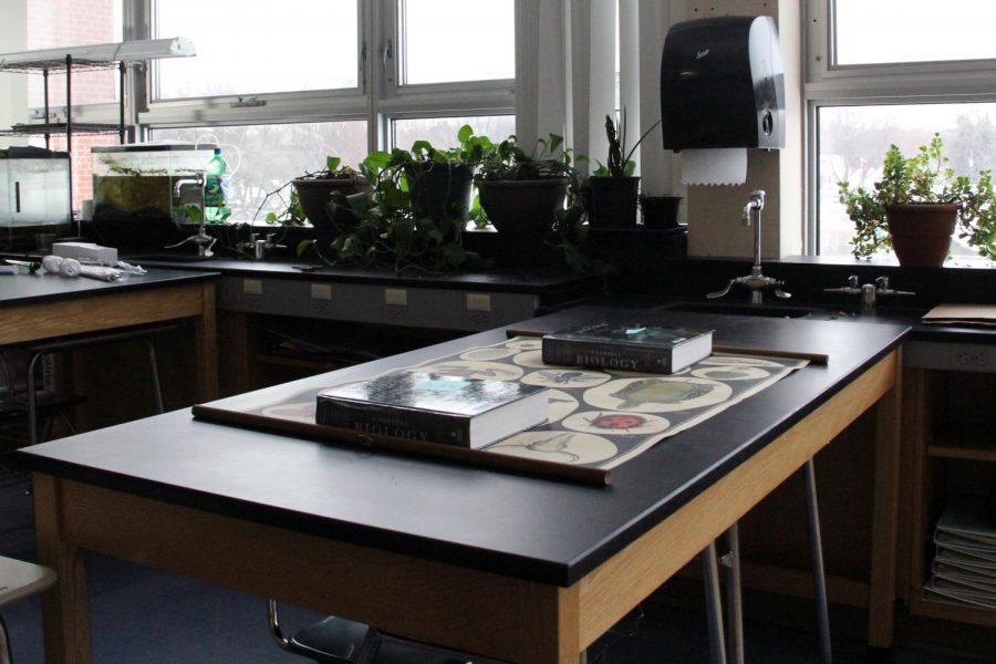 Due+to+some+labs+requiring+equipment+at+the+high+school%2C+Park+students+have+been+allowed+in+the+building+to+use+laboratory+stations+in+science+classrooms+to+complete+their+labs.