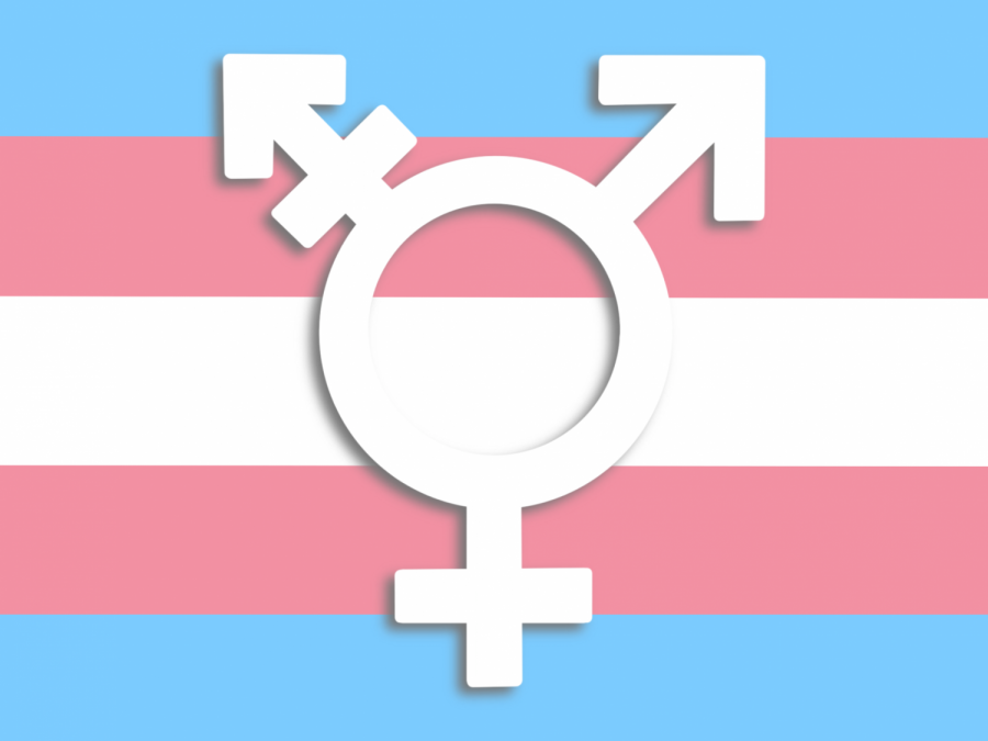 Anti-transgender+bills+have+been+proposed+in+28+states%2C+including+Minnesota+in+2021.+Legislation+targets+the+rights+of+transgender+youth%E2%80%99s+access+to+health+care+and+sports.