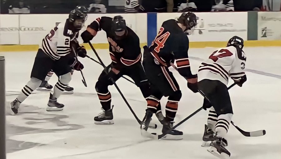 During a hockey game against New Prague Feb. 15, members of the Park team were targets of racist comments from New Prague team members. New Prague school board has since concluded its investigations into multiple recent events of racism.