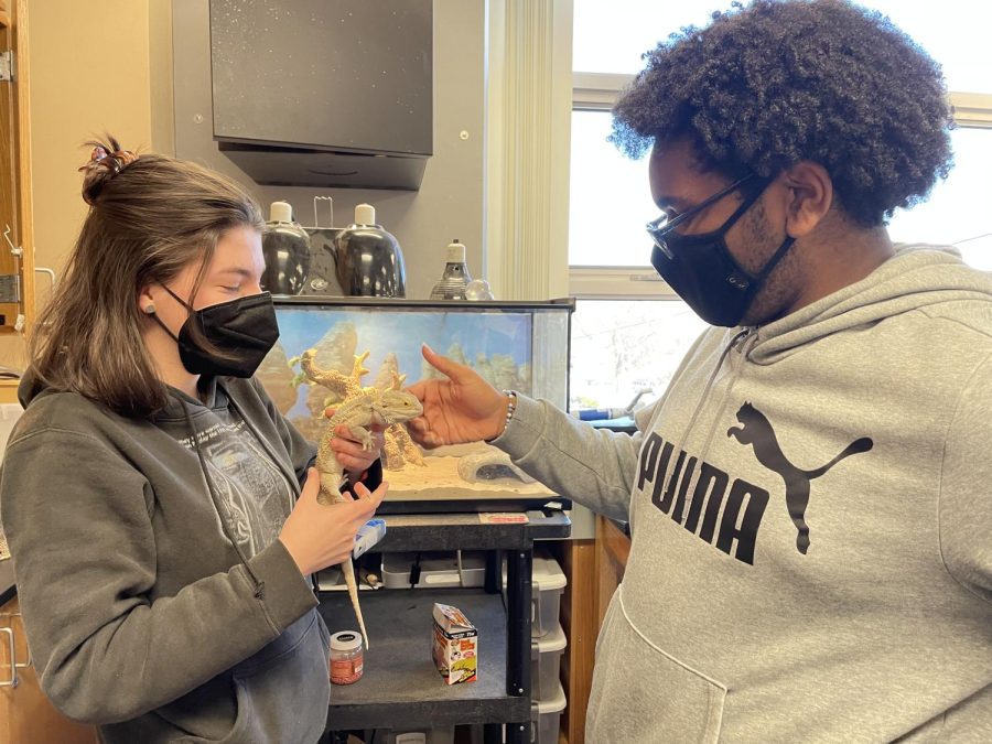 In their science classroom, freshmen Kaylee Rice and Isaiah Brown hold Farkie the lizard April 8. Aside from being featured on his own Instagram account, Farkie has also brought educational opportunities to students. 