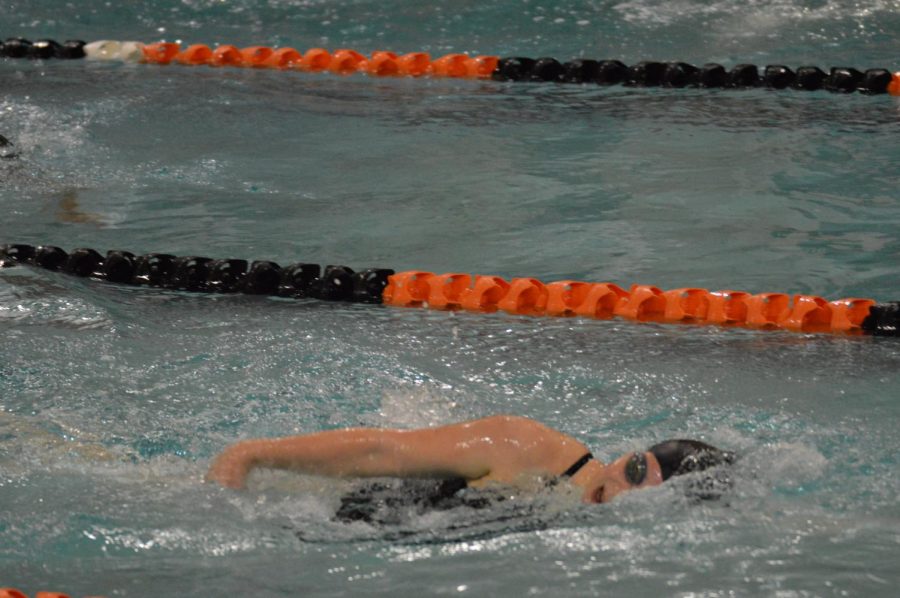 Sophomore Emily Foster swims during a meet with Chaska Oct. 18. Their first section game will be Nov. 9. 