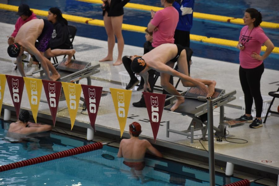 Sophomore Charlie Rostal dives into the pool for his 100m freestyle race Saturday. He swam a 55 in the race Jan. 7.