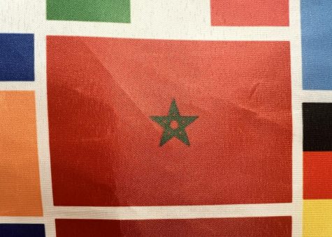 Moroccan flag hangs in Park after their World Cup victories Jan 6.  Morocco is the first African country to ever reach the semi-finals for the World Cup.