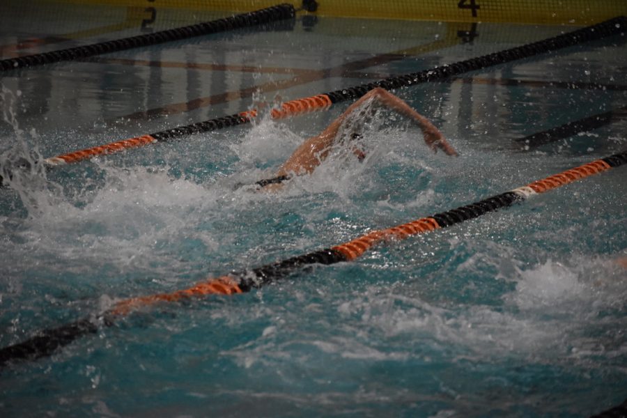Senior Miles Rost swims the first leg of the 400 freestyle relay Feb. 9. Boys’ swimming beat Waconia 52-42 Thursday.