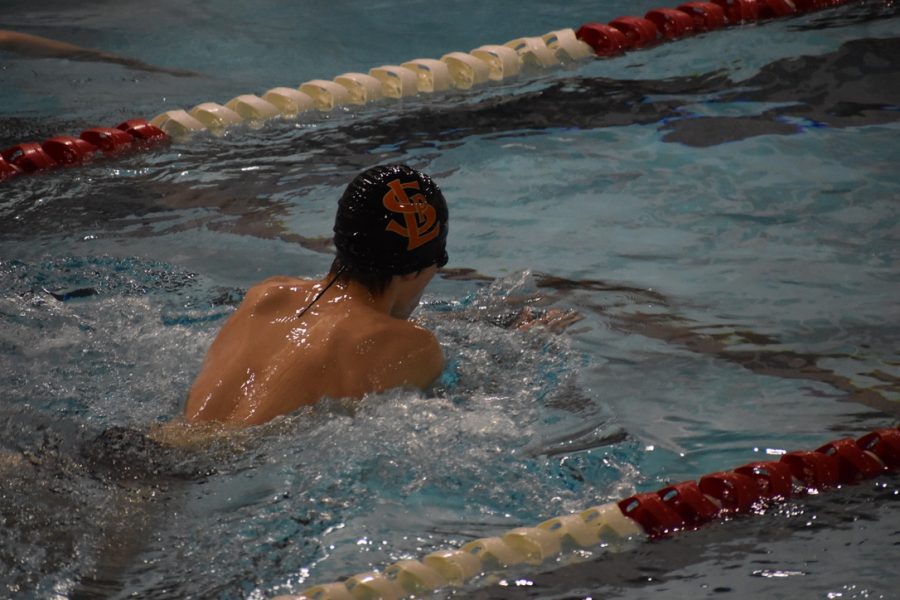 Freshman Colin Foy swims the 50 breaststroke on Feb. 2. This was Foys leg in the 200 medley relay.