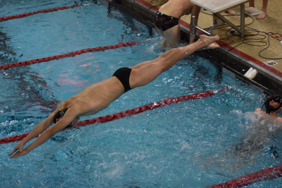 Sophomore Magnus Smith dives into the pool for his race. Magnus swam the 50 free leg of the 200 medley relay for the Boys team on Feb. 2.