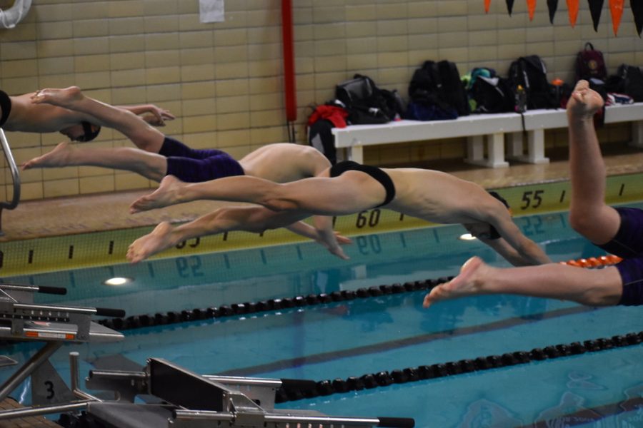 Senior Miles Rost dives into the pool Feb. 9. Rost swam the first leg of the 400 free relay Thursday.