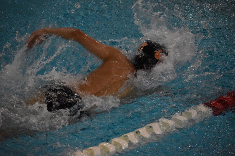 Seventh grader Luis Dominguez swims the 50 freestyle for the boys team on Feb. 2. The team had their first-ever loss to Benilde-St. Margarets.