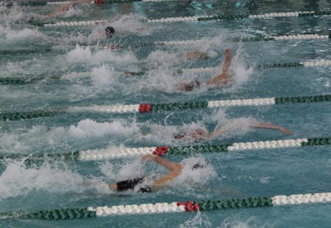 Sophomore Henry Berg swims into sixth place among eight other swimmers Saturday, Feb. 25. Parks state meet will take place March 2–4.