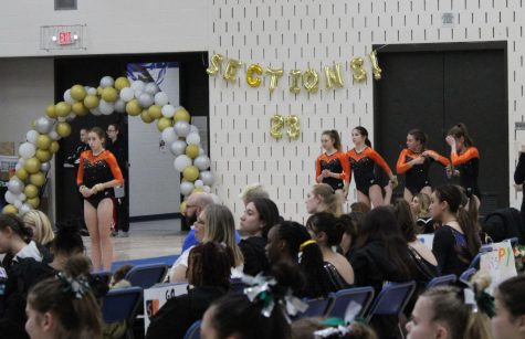 Park gymnasts prepare to compete on vault Feb. 18. The Orioles placed fifth at the 6AA Sections meet at Hopkins High School.