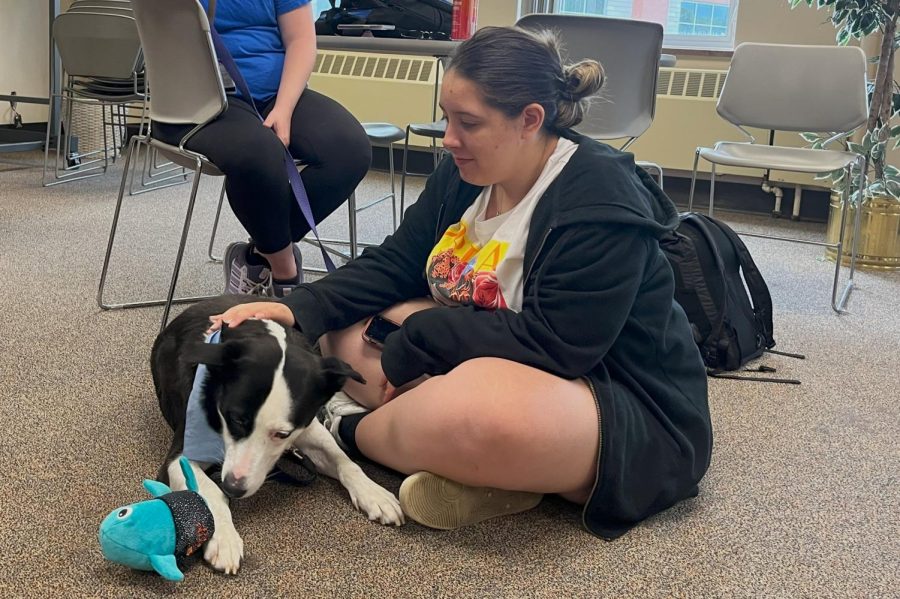 Sophomore Issabella Zapata-Nelson pets a therapy dog at an event May 22. Natural Helpers held a therapy dog event for students at Park. 