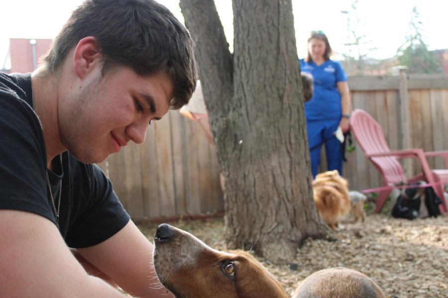 Junior Josh Folwick spends time with dog. Underdog Rescue hosted an adoption event May 24.