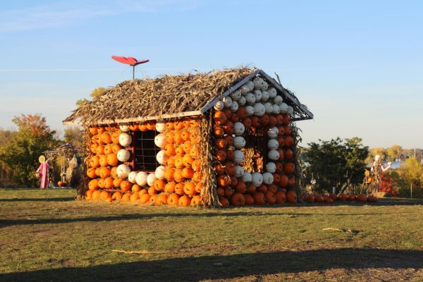 House made of pumpkins at the Minnesota Landscape Arboretum Oct. 17. The pumpkin house is one of the many festive art pieces that can be seen throughout the arboretum.