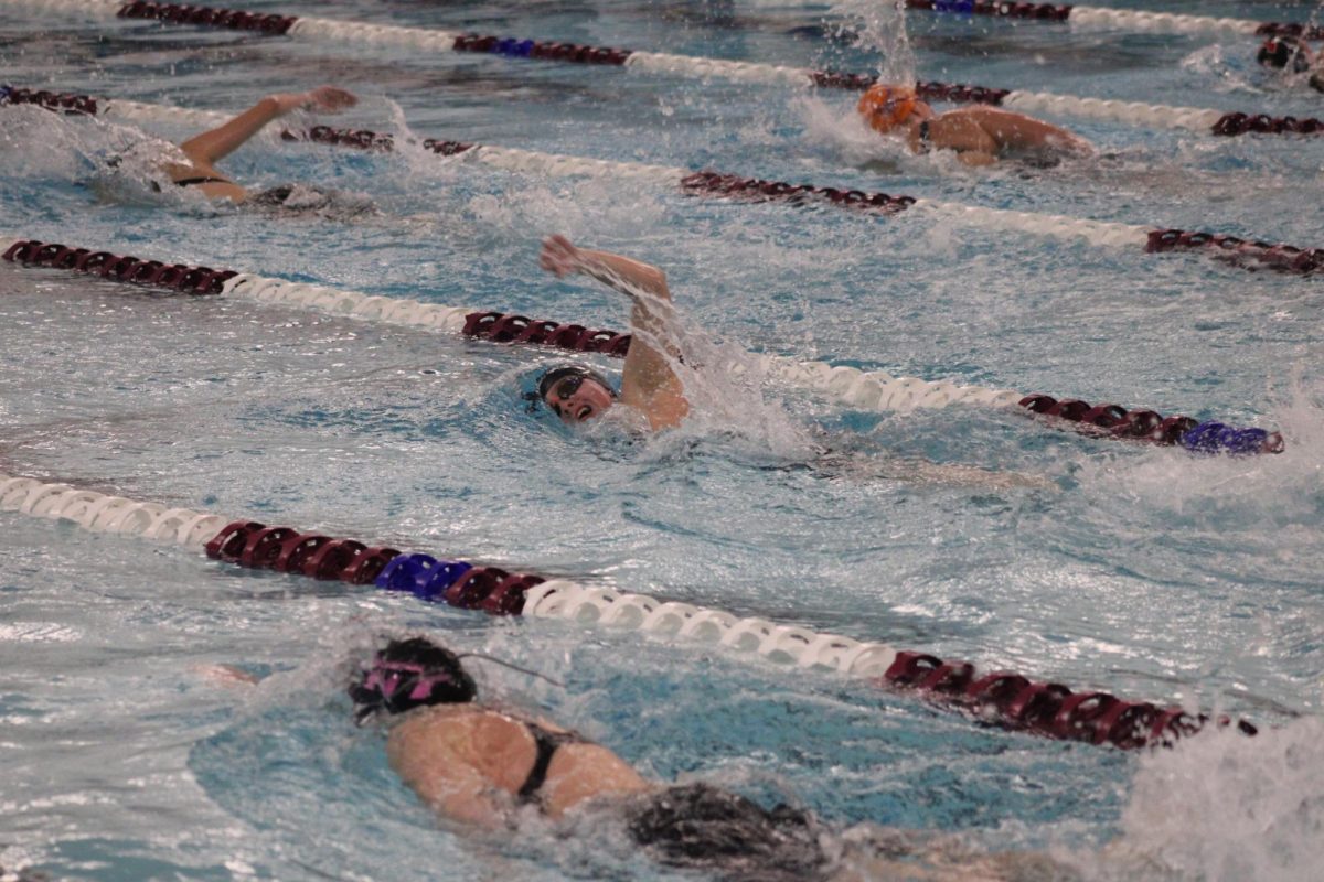 Junior Emily Foster swims down the pool at sections Nov 11. The meet was held at Richfield Middle School.