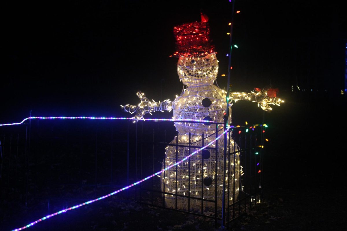 Smiley snowman at the Arboretum Light show Nov. 26. This snowman is located near a log cabin where you can purchase the ingredients to make s’mores at one of their fire pits. 