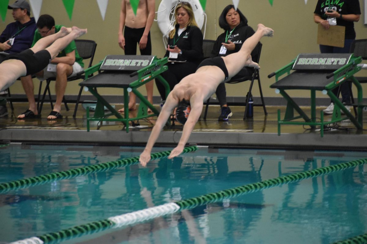 Junior Caleb Teichman dives into the pool for his breaststroke race Jan. 13. The boys competed at Edina Southview Middle School on Saturday.