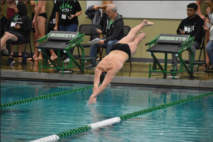 Senior Henry Salita dives into the pool on Jan. 13. Salita placed 6th in his heat in the 50 breast on Saturday.