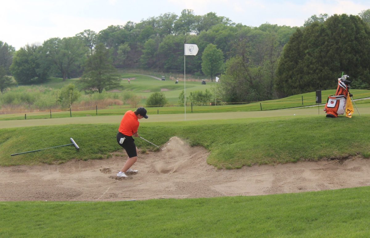 Sophmore Zachary Stillman chips from the sand May 16. This was Park’s last golf match to prepare for sections.