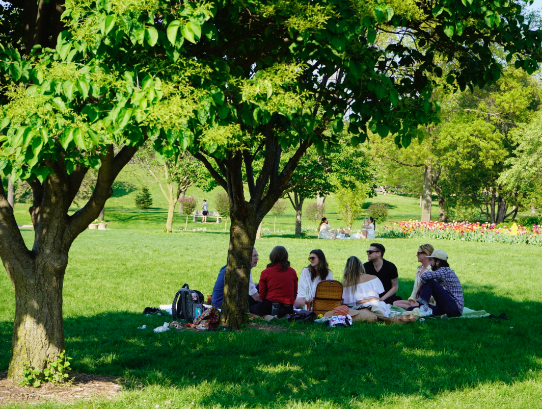 A group enjoying a picnic together outdoors May 14. Summer is the perfect time to surround yourself with your favorite people.