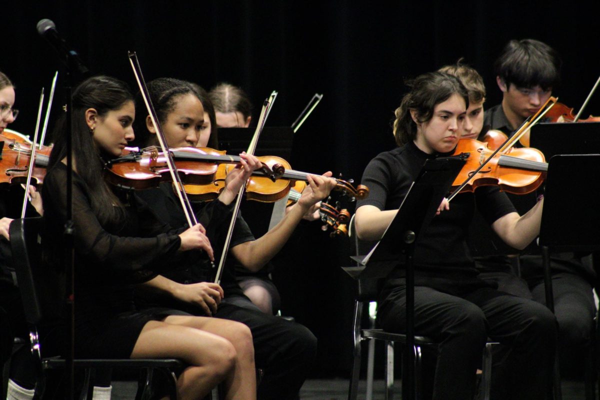 Park’s violin section of the orchestra played in the high school auditorium at the “Pops Concert” Dec. 8. The concert featured many different orchestral instruments and pieces throughout the night.